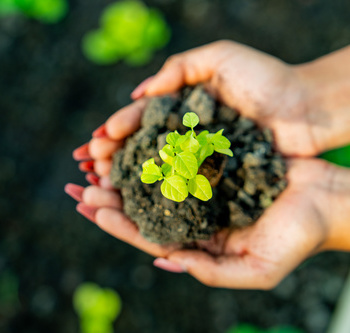 Инженерные биологические системы: междисциплинарное образование в школах - fgospostavki.ru - Грозный