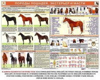 Комплект плакатов "Служебное коневодство" - fgospostavki.ru - Грозный