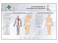Электрифицированный стенд "Остановка кровотечения" - fgospostavki.ru - Грозный