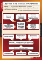 Комплект таблиц. ОБЖ. Здоровый образ жизни. - fgospostavki.ru - Грозный