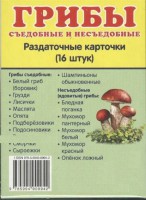 Раздаточные карточки "Грибы съедобные и не съедобные" - fgospostavki.ru - Грозный