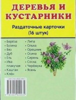 Раздаточные карточки "Деревья и кустарники" - fgospostavki.ru - Грозный