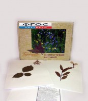 Гербарий "Дикорастущие растения" (28 видов) - fgospostavki.ru - Грозный