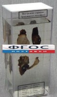 Влажный препарат "Внутреннее строение брюхоногого моллюска" - fgospostavki.ru - Грозный