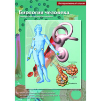 Интерактивные плакаты. Биология человека. Программно-методический комплекс - fgospostavki.ru - Грозный