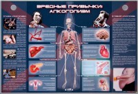 Электрифицированный стенд "Вредные привычки: алкоголизм" - fgospostavki.ru - Грозный
