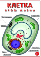 DVD "Клетка - "атом жизни" - fgospostavki.ru - Грозный