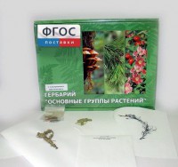 Гербарий "Основные группы растений" (52 листа) - fgospostavki.ru - Грозный