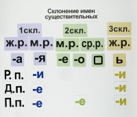 Набор магнитных карточек "Склонение имен существительных" - fgospostavki.ru - Грозный