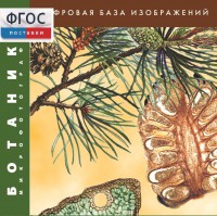Ботаника. Микрофотографии. (Цифровая база изображений) - fgospostavki.ru - Грозный