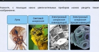 Интерактивные курсы. Биология 5 класс. Расширенный - fgospostavki.ru - Грозный