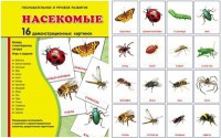 Демонстрационные карточки "Насекомые" - fgospostavki.ru - Грозный