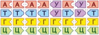 Модель-аппликация Удвоение ДНК и транскрипция РНК - fgospostavki.ru - Грозный