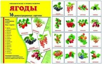 Демонстрационные карточки "Ягоды" - fgospostavki.ru - Грозный