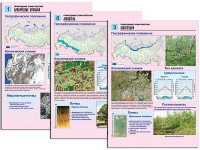 Комплект таблиц по географии "Природные зоны России" раздаточные (цветные, ламинированные, А4, 10 штук) - fgospostavki.ru - Грозный