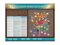 Интерактивный электрифицированный стенд "Эволюция животного мира" - fgospostavki.ru - Грозный