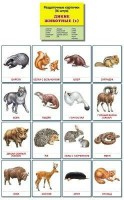 Раздаточные карточки "Дикие животные (1)" - fgospostavki.ru - Грозный