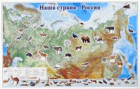 Магнитные карточки "Животные" - fgospostavki.ru - Грозный
