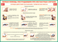 Таблица "Порядок действий при ранениях и термических ожогах" (100х140 сантиметров, винил) - fgospostavki.ru - Грозный
