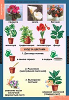 Комплект таблиц. Окружающий мир 1 класс. - fgospostavki.ru - Грозный