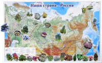 Магнитные карточки "Растения" - fgospostavki.ru - Грозный