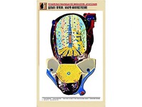 Рельефная таблица "Долька печени. Макро-микростроение" (формат А1, матовое ламинирование) - fgospostavki.ru - Грозный