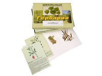 Гербарий "Для начальной школы" (30 видов, с иллюстрациями) - fgospostavki.ru - Грозный