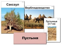 Модель-аппликация "Природные зоны России" (ламинированная) - fgospostavki.ru - Грозный