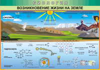 Таблица "Возникновение жизни на земле" (100х140 сантиметров, винил) - fgospostavki.ru - Грозный
