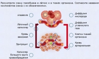 Интерактивные курсы. Биология 9 класс. Расширенный. - fgospostavki.ru - Грозный