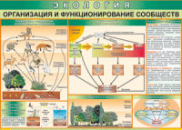 Таблица "Организация и функционирование сообществ" (100х140 сантиметров, винил) - fgospostavki.ru - Грозный