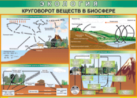 Таблица "Круговорот веществ в биосфере" (100х140 сантиметров, винил) - fgospostavki.ru - Грозный