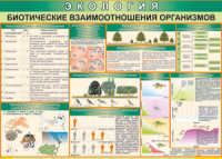 Таблица "Биотические взаимоотношения организмов" (100х140 сантиметров, винил) - fgospostavki.ru - Грозный