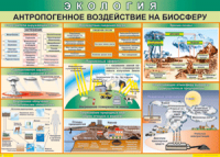 Таблица "Антропогенное воздействие на биосферу" (100х140 сантиметров, винил) - fgospostavki.ru - Грозный