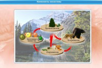 Интерактивные курсы. Биология 7 класс. Базовый. - fgospostavki.ru - Грозный
