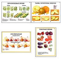 Плакаты ПРОФТЕХ "Ассортимент овощных культур" (12 пл, винил, 70х100) - fgospostavki.ru - Грозный