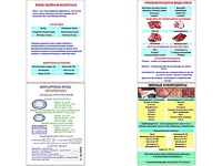 Плакаты ПРОФТЕХ "Классификации и виды мяса" (4 пл, винил, 70х100) - fgospostavki.ru - Грозный