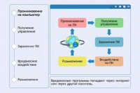 Интерактивные курсы. Информатика 10 класс . Базовый. - fgospostavki.ru - Грозный