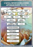 Стенд "Схема приготовления дрожжевого теста" - fgospostavki.ru - Грозный