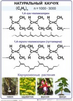 Комплект демонстрационных таблиц по химии "Полимеры" (комплект 12 таблиц) - fgospostavki.ru - Грозный
