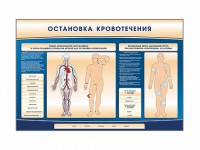 Электрифицированный стенд-тренажер "Остановка кровотечения" - fgospostavki.ru - Грозный