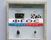 Коллекция энтомологическая "Примеры защитных приспособлений у насекомых" - fgospostavki.ru - Грозный