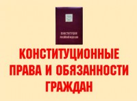 Комплект плакатов "Конституционные права и обязанности граждан" - fgospostavki.ru - Грозный