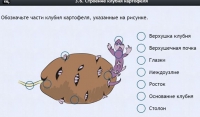 Интерактивные курсы. Биология 6 класс. Расширенный - fgospostavki.ru - Грозный