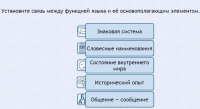 Интерактивные курсы. Русский язык 7 класс . Базовый. - fgospostavki.ru - Грозный