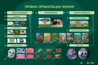 Электрифицированный стенд "Уровни организации жизни" - fgospostavki.ru - Грозный