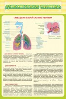 Стенд "Дыхательная система" - fgospostavki.ru - Грозный