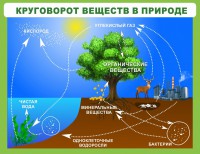 Стенд "Круговорот веществ" - fgospostavki.ru - Грозный