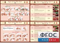 Стенд "Вязание крючком" - fgospostavki.ru - Грозный