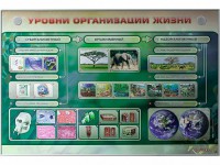 Электрифицированный стенд "Уровни организации жизни" - fgospostavki.ru - Грозный